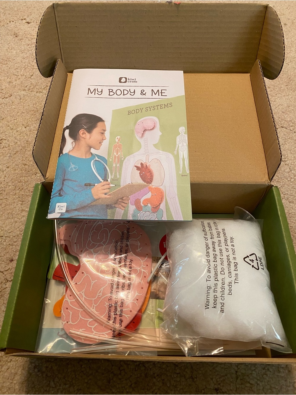 NEW - Kiwi Crate My Body & Me Educational Kit